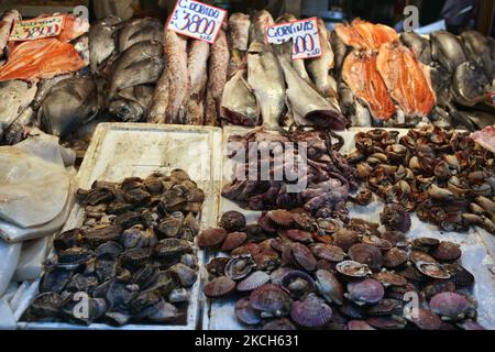 Poisson frais et fruits de mer au célèbre marché aux poissons dans le marché central (Mercado Central) à Santiago, Chili, sur 09 mars 2010. (Photo de Creative Touch Imaging Ltd./NurPhoto) Banque D'Images