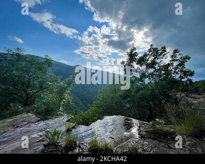 Chutes Kaaterskill, montagnes Catskill, New York (photo de Karla Ann Cote/NurPhoto) Banque D'Images