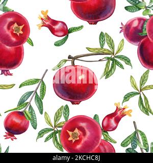 Grenade sur une branche aquarelle sans couture. Des fruits rouges réalistes dessinés à la main avec des feuilles de fond sans fin pour le tissu et le papier peint. Tropica Banque D'Images