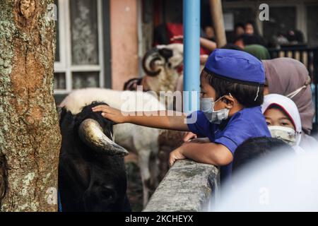 Un enfant portant une protection qui s'empare des animaux sacrificiels lorsqu'il assiste à la prière d'Eid Al Adha lors des restrictions d'urgence de la COVID-19 le 20 juillet 2021 à Bandung, Indonésie. (Photo par Algi Febri Sugita/NurPhoto) Banque D'Images