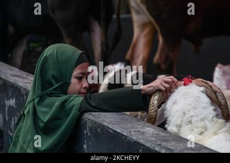 Un enfant portant une protection qui s'empare des animaux sacrificiels lorsqu'il assiste à la prière d'Eid Al Adha lors des restrictions d'urgence de la COVID-19 le 20 juillet 2021 à Bandung, Indonésie. (Photo par Algi Febri Sugita/NurPhoto) Banque D'Images