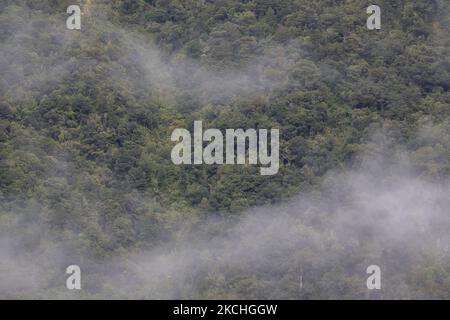 Vue générale de la forêt couverte de brouillard d'un bateau de croisière dans le détroit de Milford, au sud-ouest du parc national Fiordland, en Nouvelle-Zélande, sur 22 juillet 2021. Milford Sound est un site classé au patrimoine mondial de l'UNESCO dans l'île du Sud en Nouvelle-Zélande. (Photo de Sanka Vidanagama/NurPhoto) Banque D'Images