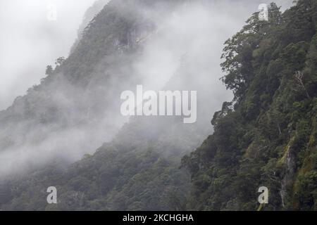 Vue générale de la forêt couverte de brouillard d'un bateau de croisière dans le détroit de Milford, au sud-ouest du parc national Fiordland, en Nouvelle-Zélande, sur 22 juillet 2021. Milford Sound est un site classé au patrimoine mondial de l'UNESCO dans l'île du Sud en Nouvelle-Zélande. (Photo de Sanka Vidanagama/NurPhoto) Banque D'Images