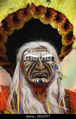 Danseuse bolivienne masquée vêtue d'un costume traditionnel dansant les Tobas lors d'un programme culturel à Mississauga, Ontario, Canada, on 04 juin 2011. Le Tobas est une danse populaire de Bolivie. La danse folklorique des Tobas parle de l'ancien passé de la Bolivie. Elle a ses racines à une époque où les Incas étaient la force prédominante dans la région des hauts plateaux andins. (Photo de Creative Touch Imaging Ltd./NurPhoto) Banque D'Images