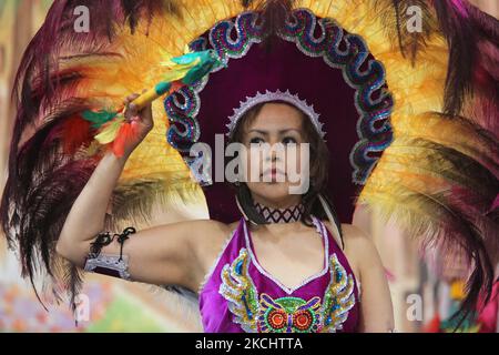 Danseuse bolivienne vêtue d'un costume traditionnel dansant les Tobas lors d'un programme culturel à Mississauga, Ontario, Canada, on 04 juin 2011. Le Tobas est une danse populaire de Bolivie. La danse folklorique des Tobas parle de l'ancien passé de la Bolivie. Elle a ses racines à une époque où les Incas étaient la force prédominante dans la région des hauts plateaux andins. (Photo de Creative Touch Imaging Ltd./NurPhoto) Banque D'Images