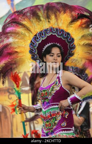 Danseuse bolivienne vêtue d'un costume traditionnel dansant les Tobas lors d'un programme culturel à Mississauga, Ontario, Canada, on 04 juin 2011. Le Tobas est une danse populaire de Bolivie. La danse folklorique des Tobas parle de l'ancien passé de la Bolivie. Elle a ses racines à une époque où les Incas étaient la force prédominante dans la région des hauts plateaux andins. (Photo de Creative Touch Imaging Ltd./NurPhoto) Banque D'Images