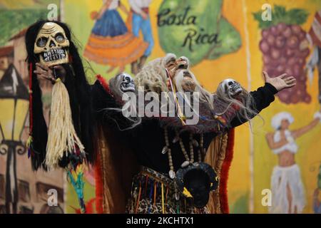 Danseuse bolivienne habillée comme un assistant dansant les Tobas lors d'un programme culturel à Mississauga, Ontario, Canada, on 04 juin 2011. Le Tobas est une danse populaire de Bolivie. La danse folklorique des Tobas parle de l'ancien passé de la Bolivie. Elle a ses racines à une époque où les Incas étaient la force prédominante dans la région des hauts plateaux andins. (Photo de Creative Touch Imaging Ltd./NurPhoto) Banque D'Images