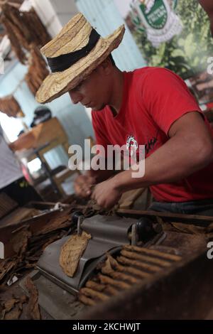 Le travailleur est assis sur un banc de travail pendant qu'il fait rouler des cigares à la main en utilisant des feuilles de tabac en vrac dans une usine de cigares de la République dominicaine, sur 22 décembre 2010. (Photo de Creative Touch Imaging Ltd./NurPhoto) Banque D'Images