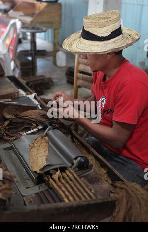 Le travailleur est assis sur un banc de travail pendant qu'il fait rouler des cigares à la main en utilisant des feuilles de tabac en vrac dans une usine de cigares de la République dominicaine, sur 22 décembre 2010. (Photo de Creative Touch Imaging Ltd./NurPhoto) Banque D'Images