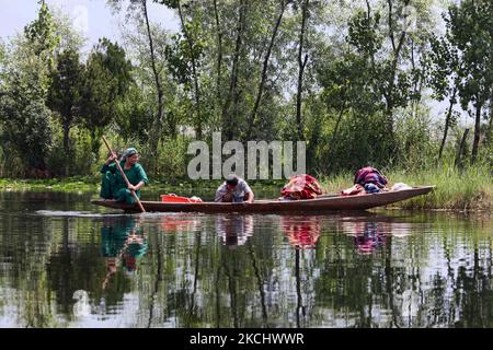 La femme cachemiri et son fils lavent leur linge sale de leur petit bateau dans les eaux du lac Dal à Srinagar, Cachemire, Inde, sur 26 juin 2010. (Photo de Creative Touch Imaging Ltd./NurPhoto) Banque D'Images