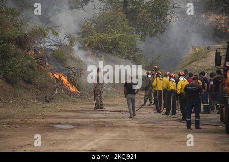 Feu de forêt à Kehries, Grèce, sur l'île d'Evia, sur 5 août 2021. -Au moins 150 maisons ont été détruites par un incendie qui faisait rage et qui entourait un monastère et une douzaine de villages sur l'île grecque d'Evia. (Photo de Nicolas Economou/NurPhoto) Banque D'Images