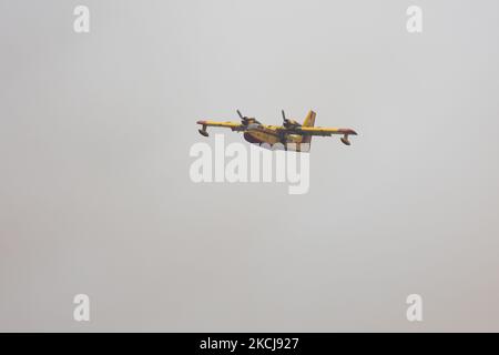 Feu de forêt à Kehries, Grèce, sur l'île d'Evia, sur 5 août 2021. -Au moins 150 maisons ont été détruites par un incendie qui faisait rage et qui entourait un monastère et une douzaine de villages sur l'île grecque d'Evia. (Photo de Nicolas Economou/NurPhoto) Banque D'Images