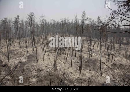 Feu de forêt à Kehries, Grèce, sur l'île d'Evia, sur 5 août 2021. -Au moins 150 maisons ont été détruites par un incendie qui faisait rage et qui entourait un monastère et une douzaine de villages sur l'île grecque d'Evia. (Photo de Nicolas Economou/NurPhoto) Banque D'Images