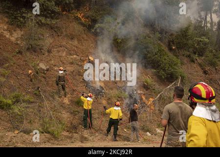 Feu de forêt à Kehries, Grèce, sur l'île d'Evia, sur 5 août 2021. -Au moins 150 maisons ont été détruites par un incendie qui faisait rage et qui entourait un monastère et une douzaine de villages sur l'île grecque d'Evia. (Photo de Nicolas Economou/NurPhoto) Banque D'Images