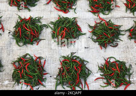 Piments de Chili exposés au bazar Shaniwaar Subzi, qui est le plus grand marché de fruits et légumes de la ville indienne de Nagpur, Maharashtra, Inde. (Photo de Creative Touch Imaging Ltd./NurPhoto) Banque D'Images