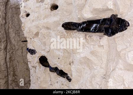 Le site classé au patrimoine mondial de l'UNESCO des mines de silex néolithique et de bronze précoce ouvre à nouveau après deux années de rénovation à Krzemionki près d'Ostrowiec Swietokrzyski en Pologne - 7 août 2021. Les mines ont été exploitées entre 3900 et 1600 av. J.-C. Le site a été ajouté à la liste du patrimoine mondial de l'UNESCO en 2019, peu de temps après sa fermeture et a subi des travaux de rénovation et de modernisation qui seront rouverts en juillet 2021 avec son musée moderne et ses nouvelles installations. (Photo par Dominika Zarzycka/NurPhoto) Banque D'Images