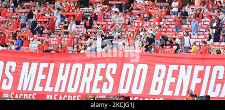 Les supporters de Benfica retournent dans les tribunes lors du troisième match de qualification de la Ligue des champions de l'UEFA entre SL Benfica et Spartak Moskva at sur 10 août 2021 à Lisbonne, au Portugal. (Photo de Paulo Nascimento/NurPhoto) (photo de Paulo Nascimento/NurPhoto) Banque D'Images