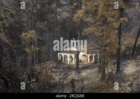 Après un feu de forêt près du village de Pefki, dans l'île grecque d'Evia (Euboea), sur 10 août 2021. (Photo de Nicolas Economou/NurPhoto) Banque D'Images