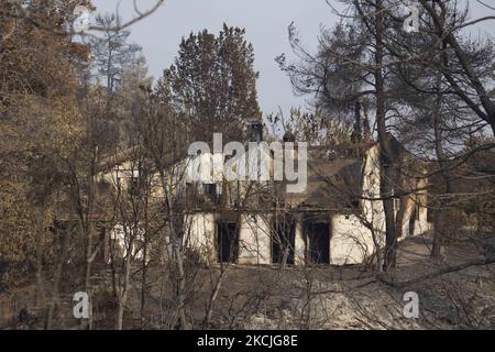 Après un feu de forêt près du village de Pefki, dans l'île grecque d'Evia (Euboea), sur 10 août 2021. (Photo de Nicolas Economou/NurPhoto) Banque D'Images