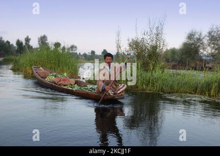L'homme de Kashmiri pagaie son bateau rempli de légumes Lac Nigeen à Srinagar, Cachemire, Inde, sur 26 juin 2010. (Photo de Creative Touch Imaging Ltd./NurPhoto) Banque D'Images
