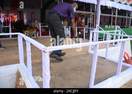 Le personnel de la sécurité indienne inspecte le sol avant les célébrations de la fête de l'indépendance au terrain du Veterinary College à Guwahati, en Inde, le vendredi 13 août 2021. (Photo par Anuwar Hazarika/NurPhoto) Banque D'Images