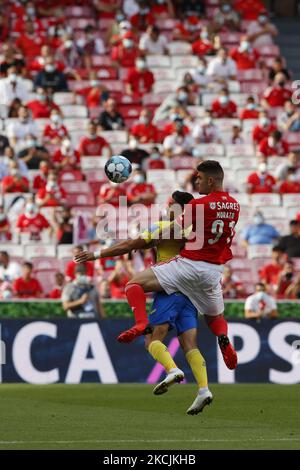 Morato en action pendant le match de la Ligue BWIN entre SL Benfica et Arouca FC, à Estádio da Luz, Lisboa, Portugal, 14, août, 2021 (photo de João Rico/NurPhoto) Banque D'Images