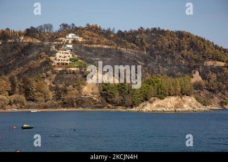 Plage de Kohili près de Limni avec la pente brûlée et la forêt en arrière-plan. Les séquelles des incendies en Grèce, alors que de petites flammes continuent de brûler dans la forêt. Une énorme catastrophe environnementale a eu lieu en Grèce. Forêt, pins, oliveraies, entreprises, hôtels, des maisons, des véhicules et des animaux ont été brûlés. L'incendie s'est terminé après une pluie nocturne, alors que les jours précédents les pompiers grecs, les volontaires locaux, les pompiers étrangers, les avions et les hélicoptères où se battaient pour éteindre le feu de forêt dans l'île grecque d'Evia (Euboea) - près de 100 000 hectares de forêts et de terres agricoles ha Banque D'Images