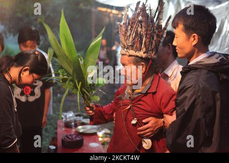 Un Lepcha Bomthing (prêtre Lepcha) de 90 ans, portant un chapeau à plumes, chante des prières et utilise des feuilles pour bénir une jeune fille du village lors d'une cérémonie de sacrifice d'animaux pour apaiser les mauvais esprits dans un petit village profond dans la jungle à Sikkim, en Inde, sur 05 juin 2010. Beaucoup de villageois sont morts sans aliments, donc les villages de Lepcha ont envoyé pour la Bomthing pour se débarrasser des mauvais esprits causant la mort dans le village. Cette cérémonie aurait pour but de protéger le village pendant 180 ans après sa préformation. (Photo de Creative Touch Imaging Ltd./NurPhoto) Banque D'Images