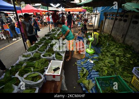 Le kratom laisse la stalle sur le marché DIN Dang à Bangkok sur 11 septembre 2021 à Bangkok, en Thaïlande. Le gouvernement thaïlandais a supprimé Kratom de la liste des stupéfiants contrôlés de catégorie 5 de 4 août 2021. (Photo de Vachira Vachira/NurPhoto) Banque D'Images