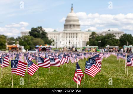 2 977 drapeaux américains décorent le centre commercial national du Capitole, un pour chaque victime des attaques du Centre mondial du commerce de 11 septembre. (Photo d'Allison Bailey/NurPhoto) Banque D'Images