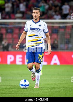 Nicolo Casale (Vérone) portrait en action pendant le match de football italien série A FC de Bologne contre Hellas FC de Vérone sur 13 septembre 2021 au Renato Dall&#39;Stade Ara à Bologne, Italie (photo d'Ettore Griffoni/LiveMedia/NurPhoto) Banque D'Images