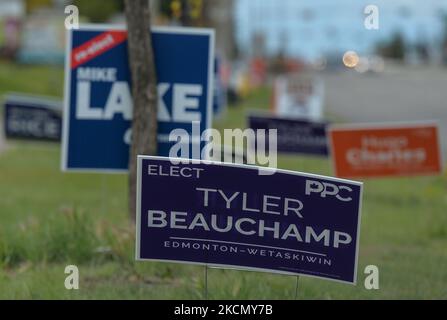 Panneaux d'élection le long du chemin Ellerslie à Edmonton. Dimanche, 19 septembre 2021, à Edmonton, en Alberta, Canada. (Photo par Artur Widak/NurPhoto) Banque D'Images