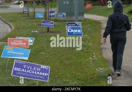Une personne passe devant les panneaux d'élection le long du chemin Ellerslie à Edmonton. Dimanche, 19 septembre 2021, à Edmonton, en Alberta, Canada. (Photo par Artur Widak/NurPhoto) Banque D'Images