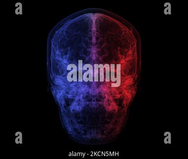 Crâne humain, cerveau par acquisition CT. Visualisation des rayons X à l'intérieur du crâne. 3D mode rendu coloré de l'illustration. Banque D'Images