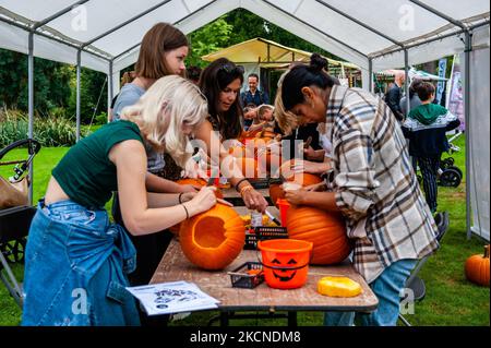Les gens sont en train de sculpter des citrouilles pour Halloween, lors du championnat hollandais de culture de citrouille 2021 qui s'est tenu à Utrecht, sur 25 septembre 2021. (Photo par Romy Arroyo Fernandez/NurPhoto) Banque D'Images