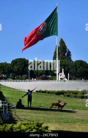 Vue générale sur les jardins du parc Eduardo VII, Lisbonne. 07 octobre 2021. Le Portugal a environ neuf millions de personnes vaccinées avec au moins une dose du vaccin Covid-19, ce qui correspond à 87% de la population, selon le rapport de vaccination de la Direction générale de la santé (DG). (Photo par Jorge Mantilla/NurPhoto) Banque D'Images