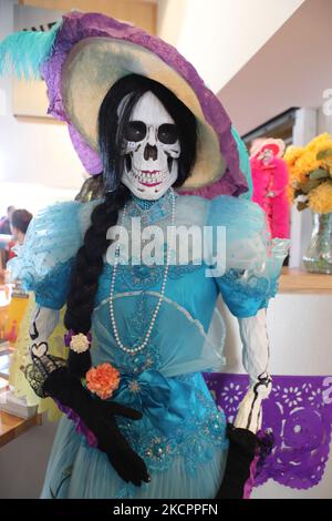 Figurine squelette habillée comme « la Catrina le Diva de la mort » lors des célébrations du jour des morts à Toronto, Ontario, Canada, on 09 novembre 2009. Le jour des morts (Dia de los Muertos) est une fête mexicaine traditionnelle qui coïncide avec le jour de tous les âmes dans le calendrier catholique, est marquée par des visites aux sites de tombe des proches. C'est une occasion joyeuse au cours de laquelle les célébrants se souviennent du défunt. (Photo de Creative Touch Imaging Ltd./NurPhoto) Banque D'Images