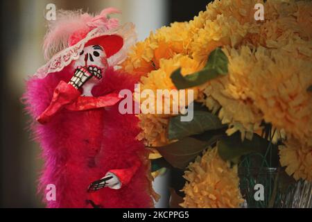 Figure squelette du « la Catrina le Diva de la mort » lors des célébrations du jour des morts à Toronto, Ontario, Canada, on 09 novembre 2009. Le jour des morts (Dia de los Muertos) est une fête mexicaine traditionnelle qui coïncide avec le jour de tous les âmes dans le calendrier catholique, est marquée par des visites aux sites de tombe des proches. C'est une occasion joyeuse au cours de laquelle les célébrants se souviennent du défunt. (Photo de Creative Touch Imaging Ltd./NurPhoto) Banque D'Images