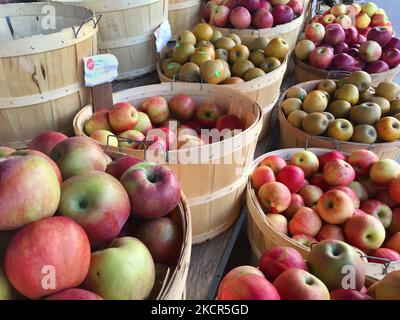 Pommes dans une épicerie à Toronto, Ontario, Canada, on 20 octobre 2021. Le taux d'inflation au Canada a atteint 4,1 % en août, son plus haut depuis 2003 et, par conséquent, les experts prévoient une forte augmentation des factures d'épicerie dans tout le Canada. (Photo de Creative Touch Imaging Ltd./NurPhoto) Banque D'Images