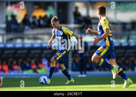 Ivan Ilic (Hellas - Verona FC) en action pendant le football italien série Un match Hellas Verona FC vs SS Lazio sur 24 octobre 2021 au stade Marcantonio Bentegodi à Vérone, Italie (photo d'Alessio Marini/LiveMedia/NurPhoto) Banque D'Images