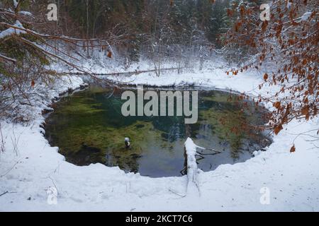 Sources bleues de Saula (sinialikad en estonien) en hiver enneigé Banque D'Images