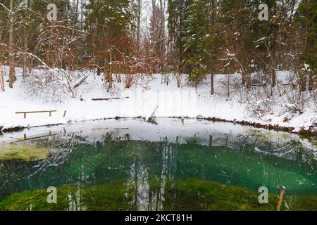 Sources bleues de Saula (sinialikad en estonien) en hiver enneigé Banque D'Images