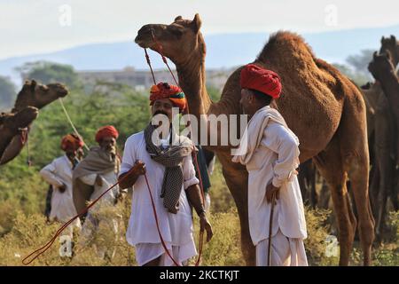 Les marchands de chameaux avec leur bétail lors de la Foire annuelle de Pushkar 2021, à Pushkar, Rajasthan, Inde, novembre 10,2021.(photo de Vishal Bhatnagar/NurPhoto) (photo de Vishal Bhatnagar/NuratPhoto) Banque D'Images