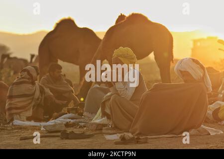 Les marchands de chameaux avec leur bétail pendant la Foire annuelle de Pushkar 2021, à Pushkar, Rajasthan, Inde , novembre 11,2021. (Photo de Vishal Bhatnagar/NurPhoto) Banque D'Images