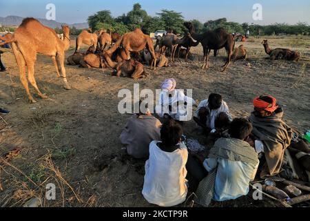 Les marchands de chameaux avec leur bétail pendant la Foire annuelle de Pushkar 2021, à Pushkar, Rajasthan, Inde , novembre 11,2021. (Photo de Vishal Bhatnagar/NurPhoto) Banque D'Images