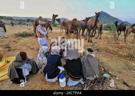 Les marchands de chameaux avec leur bétail pendant la Foire annuelle de Pushkar 2021, à Pushkar, Rajasthan, Inde , novembre 11,2021. (Photo de Vishal Bhatnagar/NurPhoto) Banque D'Images