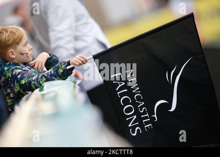 Un jeune fan des Falcons lors du match de la coupe Premiership entre Newcastle Falcons et London Wasps à Kingston Park, Newcastle, le samedi 13th novembre 2021. (Photo de Chris Lishman/MI News/NurPhoto) Banque D'Images