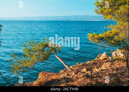 Belle photo de vacances d'été. L'été en Croatie. Photo du matin, lumière du matin orange douce et chaude. Modifier l'espace Banque D'Images