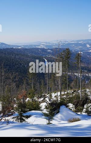 Les paysages enneigés des monts Silésiens de Beskid s'étendent sur le Bialy européen de Krzyz en Pologne, ciel bleu clair en 2022 chaud et ensoleillé jour d'hiver le mars - vertical Banque D'Images