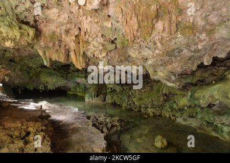Cenote Isla Alamo, situé dans les environs de Tulum, est l'un des rares cenotes de Riviera Maya qui préserve son charme naturel sans le modifier. Le dimanche, 14 novembre 2021, à Tulum, Quintana Roo, Mexique. (Photo par Artur Widak/NurPhoto) Banque D'Images